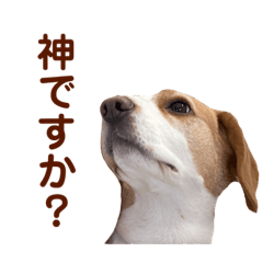 [LINEスタンプ] ちくわの詰め合わせ