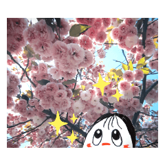 [LINEスタンプ] お花見のつもり