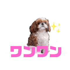 [LINEスタンプ] ももの日常 2