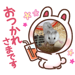[LINEスタンプ] さくま11