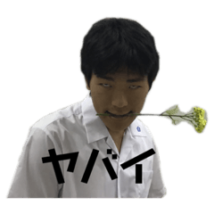 [LINEスタンプ] バラ色の毎日