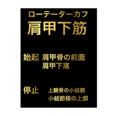 [LINEスタンプ] 筋肉②