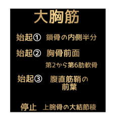 [LINEスタンプ] 筋肉①