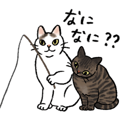 [LINEスタンプ] 地元の猫観察部