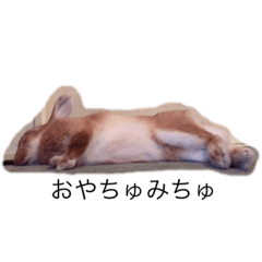 [LINEスタンプ] ウルクスス
