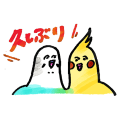 [LINEスタンプ] オカメとセキセイインコの普段使いスタンプ