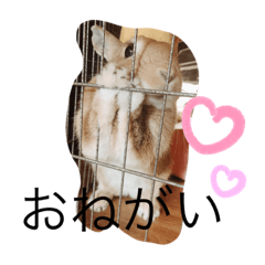 [LINEスタンプ] ウルクスス2