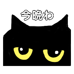 [LINEスタンプ] 黒猫 くろべー