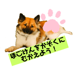 [LINEスタンプ] いぬのきもちスタンプ(保護犬)