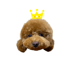 [LINEスタンプ] さん太くん