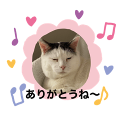 [LINEスタンプ] ぴー助じーさんスタンプ