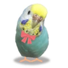[LINEスタンプ] 佐藤家のぴーちゃん