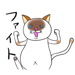 [LINEスタンプ] しゃむねこ メープル2