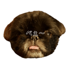 [LINEスタンプ] 勘太のつぶやき