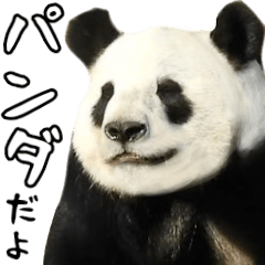 [LINEスタンプ] ほほえみフレンズ パンダのきままな生活の画像（メイン）