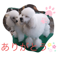 [LINEスタンプ] 仁くん.スタンプ