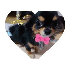 [LINEスタンプ] love犬ちゃん