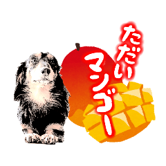 [LINEスタンプ] ミニチュアダックスの気ままなランチ20