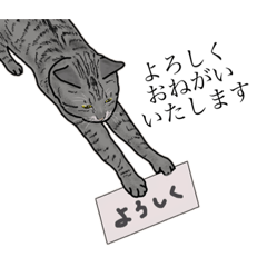 [LINEスタンプ] Atelier Singing Cat