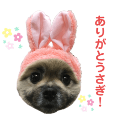 [LINEスタンプ] ごろうずスタンプ3