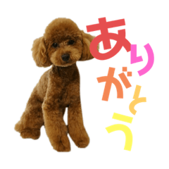 [LINEスタンプ] ramu_stamp
