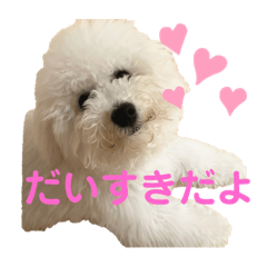 [LINEスタンプ] ビションフリーゼ犬なごみ3