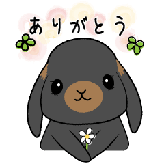 [LINEスタンプ] 【毎日使える】うさぎのしゅしゅさん