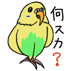 [LINEスタンプ] インコトリオ -きなこ＆こむぎ＆ぴーち-