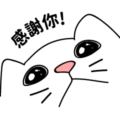 [LINEスタンプ] ミーム猫(台湾版)