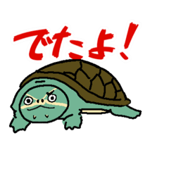 [LINEスタンプ] カメの長谷川マルコ