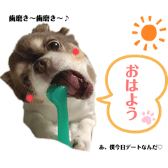 [LINEスタンプ] れい君☆スタンプ