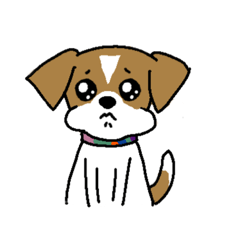 [LINEスタンプ] ジャックラッセルテリアのこつぶ