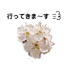 [LINEスタンプ] 写真を使って（15）の画像（メイン）