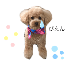 [LINEスタンプ] サーシャちゃん 2