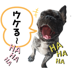 [LINEスタンプ] べべ's スタンプ