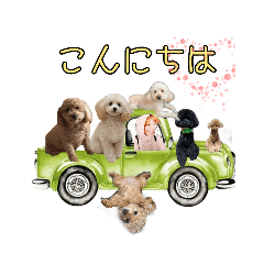 [LINEスタンプ] 癒しのトイプー ②