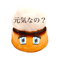 [LINEスタンプ] マダムプリン（実写）