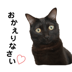 [LINEスタンプ] ぺぇやんとニカちゅ