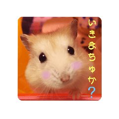 [LINEスタンプ] おんぷちゃんのひとこと