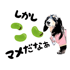 [LINEスタンプ] ミニチュアダックスの気ままなランチ22