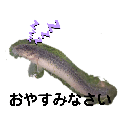 [LINEスタンプ] 写真を使って（16）