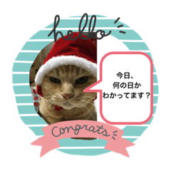 [LINEスタンプ] がんばれ、れもんちゃん