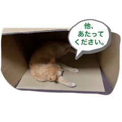 [LINEスタンプ] がんばれ、れもんちゃん2