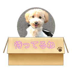 [LINEスタンプ] モコみ