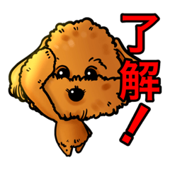 [LINEスタンプ] 犬のスタンプ トイプードル