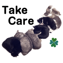 [LINEスタンプ] 犬猫三昧④