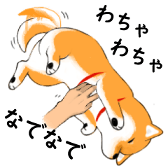 [LINEスタンプ] 柴犬そら feat. にんじん