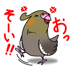 [LINEスタンプ] 大好きオカメさん