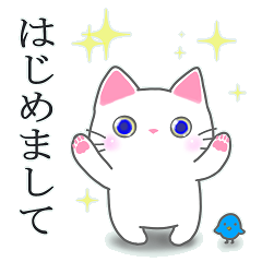 [LINEスタンプ] かわいいニャンコがごあいさつ