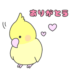 [LINEスタンプ] かわいい小鳥スタンプ(日常・挨拶)